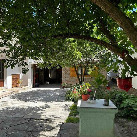Oaza Mira Porodicna Kuca Za Opustanje Villa Apatin Bagian luar foto