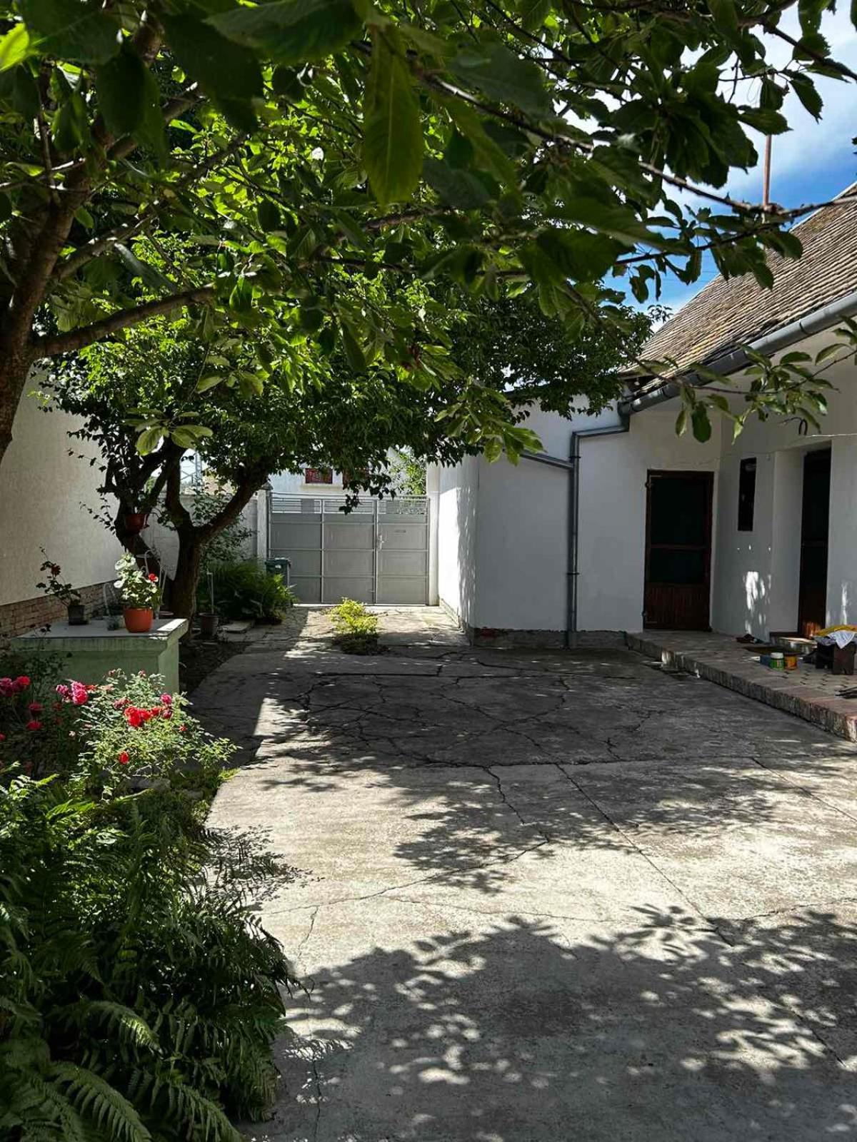 Oaza Mira Porodicna Kuca Za Opustanje Villa Apatin Bagian luar foto