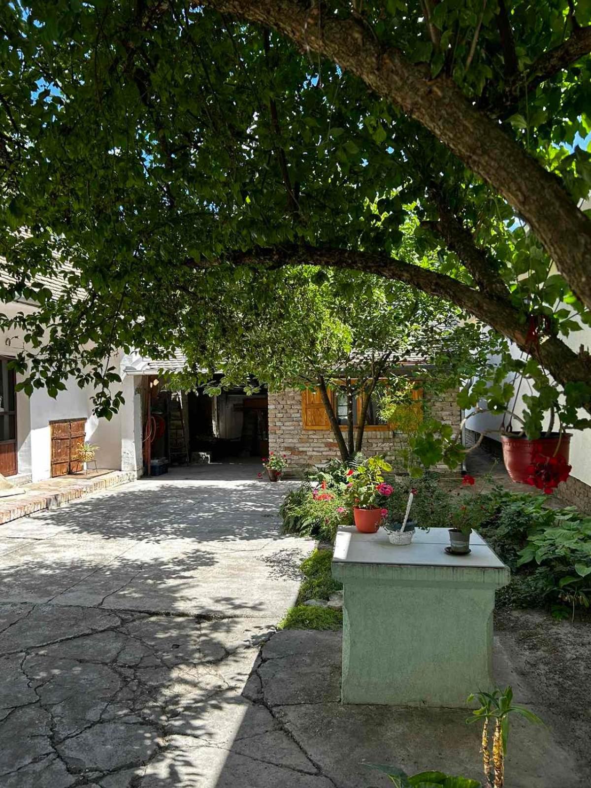 Oaza Mira Porodicna Kuca Za Opustanje Villa Apatin Bagian luar foto